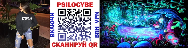 Псилоцибиновые грибы Psilocybine cubensis  Кемь 
